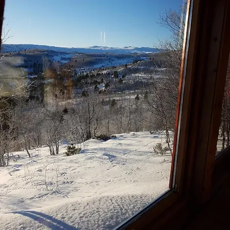 Fjellbu Two-bedroom 度假居 *